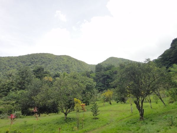 draußen, Gras, Himmel, Wolke, Baum, Pflanze, Berg, Vegetation, Hill Station, Landgebiet, Natur, Feld, Grasland, Pflanzengesellschaft, Wiese, Landschaft, Wald, Dschungel, Chaparral, Weide, Bergrücken, Grundstück, Hochland, Grün, Saftig, Reise