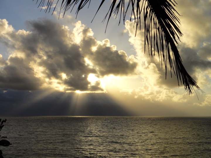 draußen, Wolke, Wasser, Himmel, Natur, Tropen, Ruhig, Palme, Horizont, Palmen, Sonnenlicht, Strand, Sonnenaufgang, Hinterleuchtung, Pflanze, Palme Orchidee, Sonne, Meer, Küste, Baum, Sonnenuntergang, Landschaft