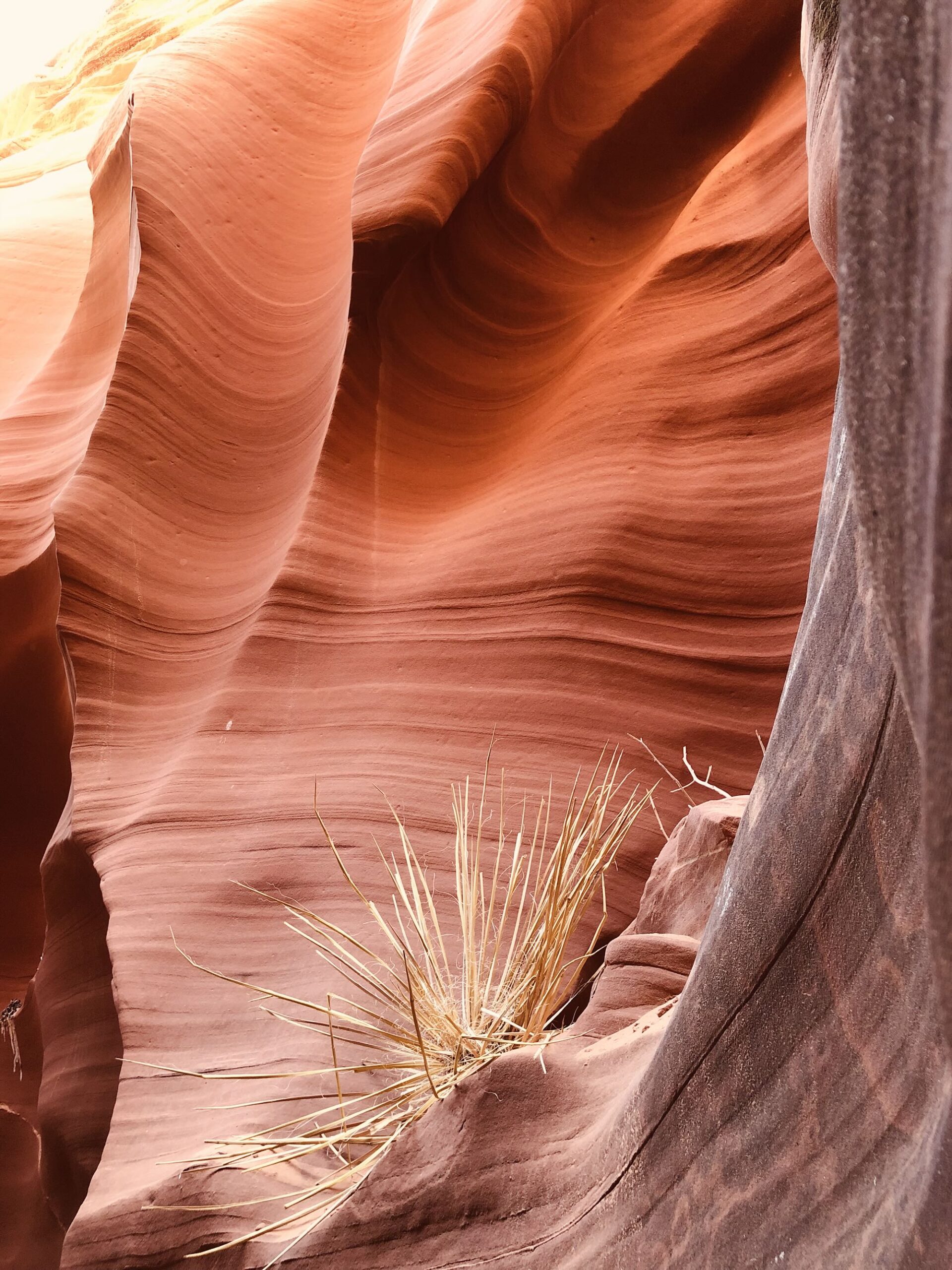 Antelope Canyon Arizona