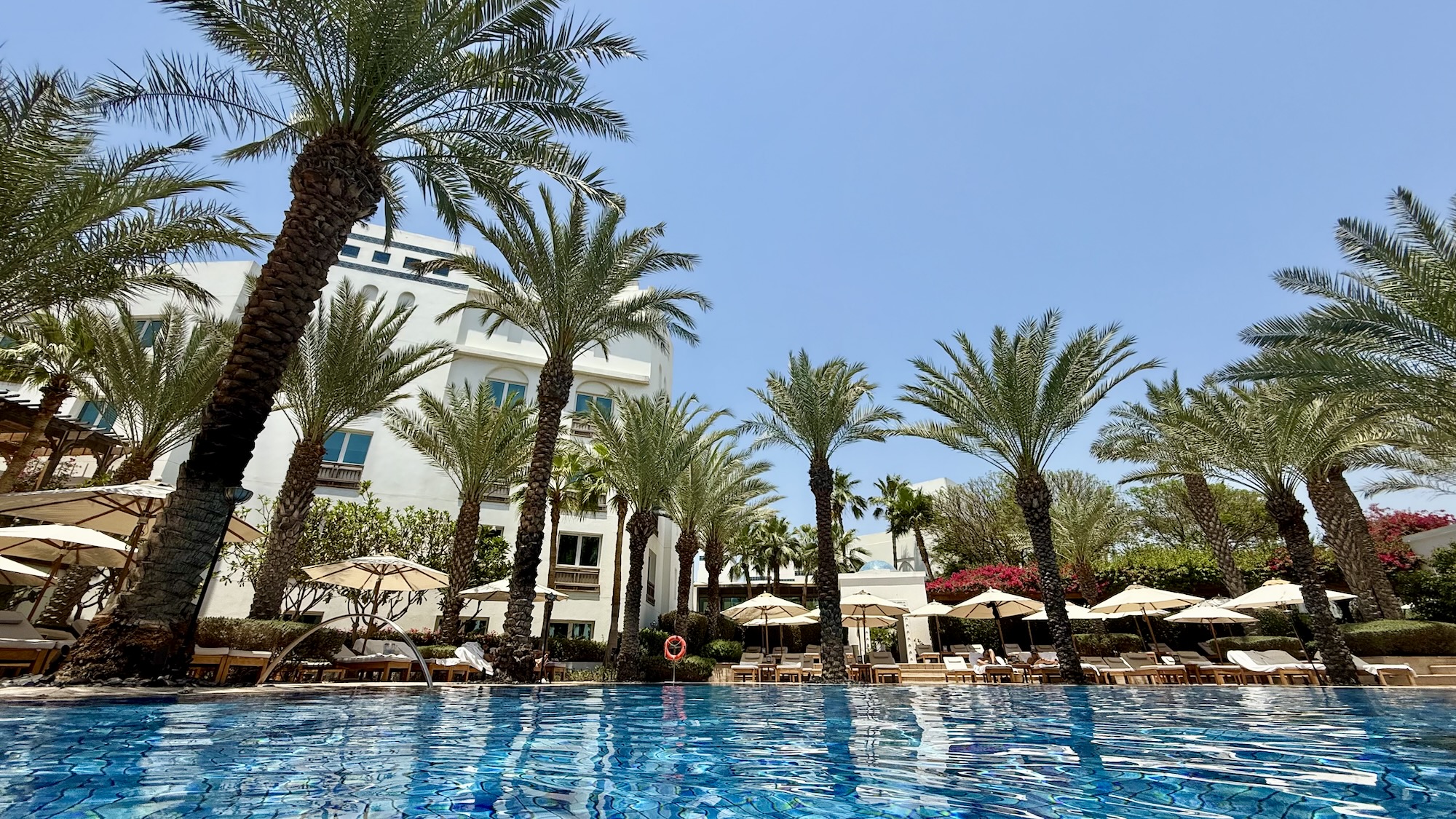 draußen, Schwimmbecken, Palme, Himmel, Baum, Palmen, Wasser, Urlaubsstadt, Kurort, Pflanze, Attalea speciosa, Hotel, Ölpalme, Pool, Urlaubsort, Palme Orchidee, Urlaub, Schwimmen